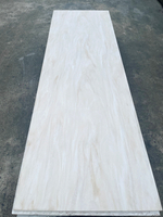 corians solid surface material counter tops and cabinets