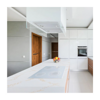 China Manufacturers Solid Surface Sheet 100% Pure Acrylic Artificial Modified Acrylic Solid Surface Stone Big Slabs for Kitchen Countertops